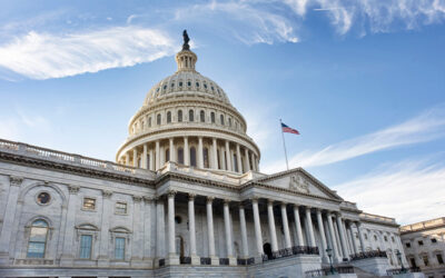 An Overlooked Provision of H.R. 4302