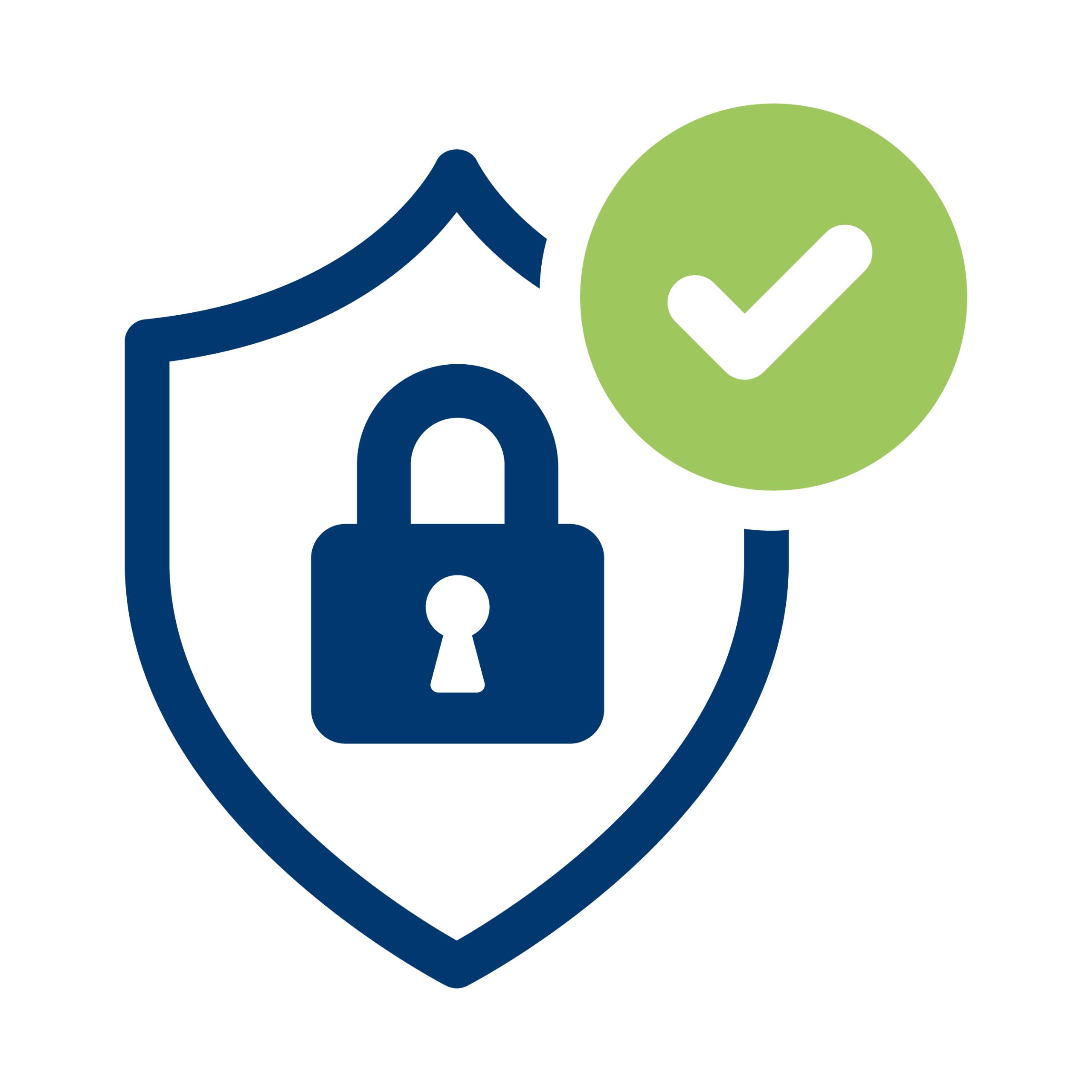 Security icon